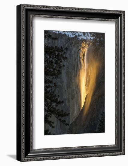 Golden Waterfall-Bjoern Alicke-Framed Photographic Print