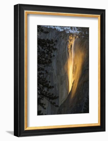 Golden Waterfall-Bjoern Alicke-Framed Photographic Print