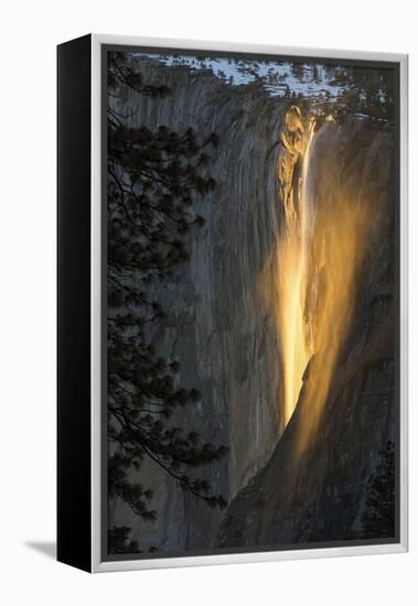 Golden Waterfall-Bjoern Alicke-Framed Premier Image Canvas