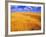 Golden Wheat Field under Blue Sky-Darrell Gulin-Framed Photographic Print