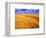 Golden Wheat Field under Blue Sky-Darrell Gulin-Framed Photographic Print