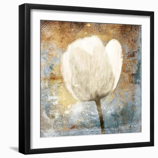 Golden White Blues Mate-Jace Grey-Framed Art Print