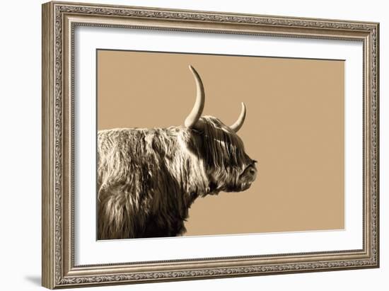 Golden Wild - Focus-James Guilliam-Framed Giclee Print