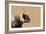 Golden Wild - Focus-James Guilliam-Framed Giclee Print