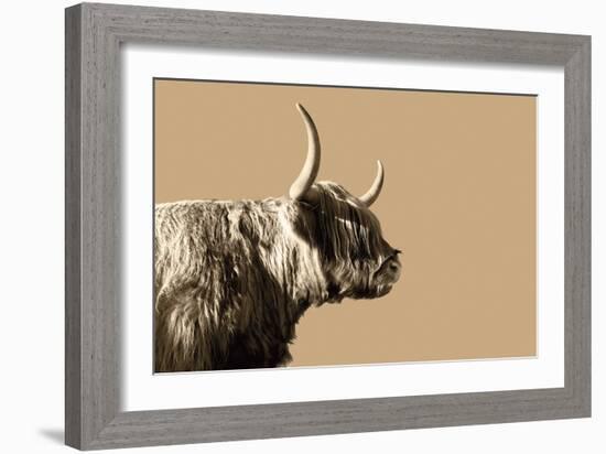 Golden Wild - Focus-James Guilliam-Framed Giclee Print