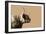 Golden Wild - Focus-James Guilliam-Framed Giclee Print