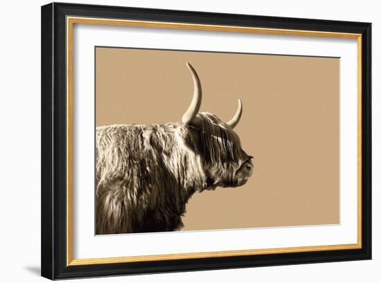 Golden Wild - Focus-James Guilliam-Framed Giclee Print