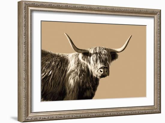 Golden Wild - Poise-James Guilliam-Framed Giclee Print