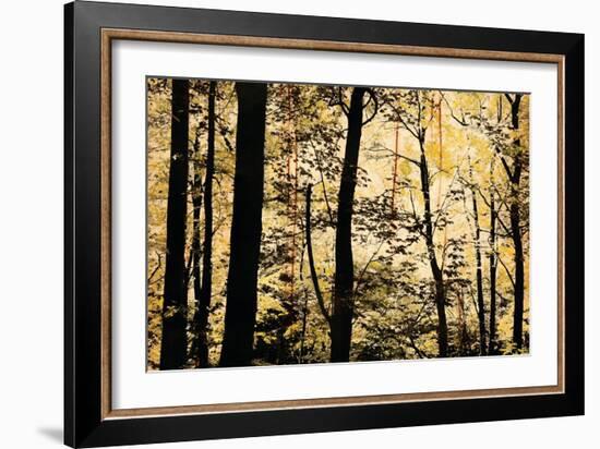 Golden Wood-Lily Nicole-Framed Art Print