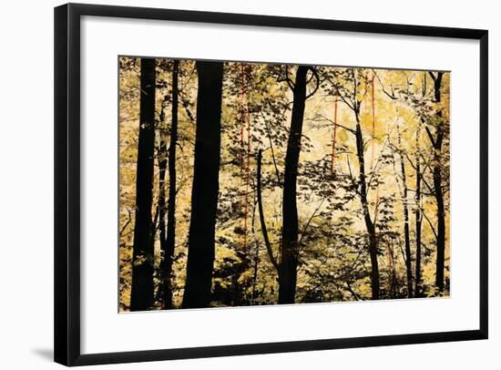 Golden Wood-Lily Nicole-Framed Art Print