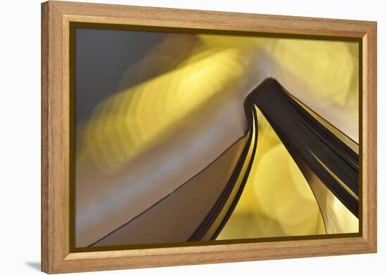 Golden Words-Heidi Westum-Framed Premier Image Canvas