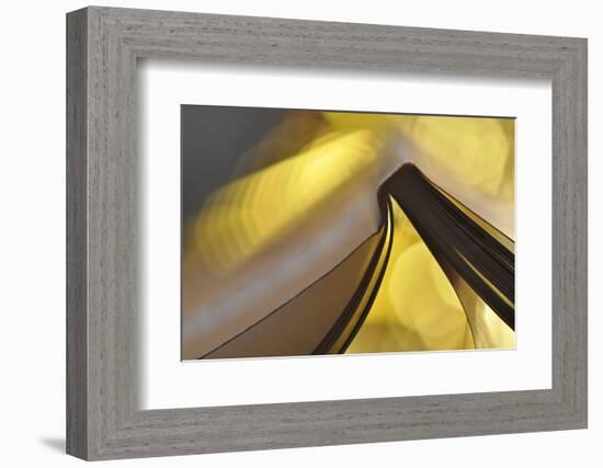 Golden Words-Heidi Westum-Framed Photographic Print