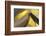 Golden Words-Heidi Westum-Framed Photographic Print