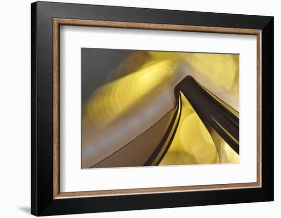 Golden Words-Heidi Westum-Framed Photographic Print