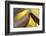 Golden Words-Heidi Westum-Framed Photographic Print