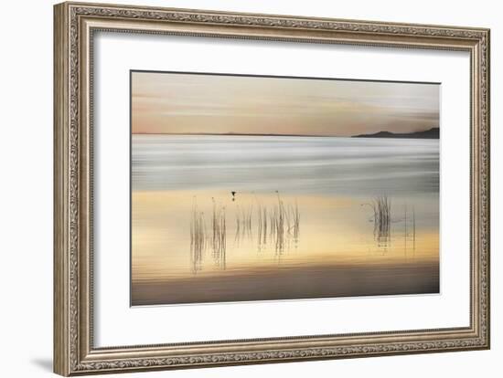 Golden-Marvin Pelkey-Framed Giclee Print