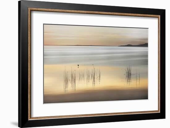 Golden-Marvin Pelkey-Framed Giclee Print