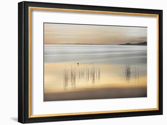 Golden-Marvin Pelkey-Framed Giclee Print