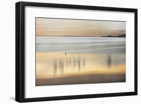 Golden-Marvin Pelkey-Framed Giclee Print