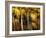 Golden-Ursula Abresch-Framed Photographic Print