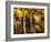 Golden-Ursula Abresch-Framed Photographic Print