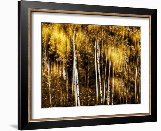 Golden-Ursula Abresch-Framed Photographic Print