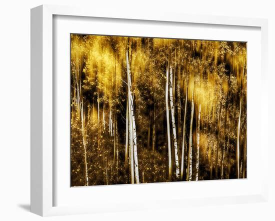 Golden-Ursula Abresch-Framed Photographic Print