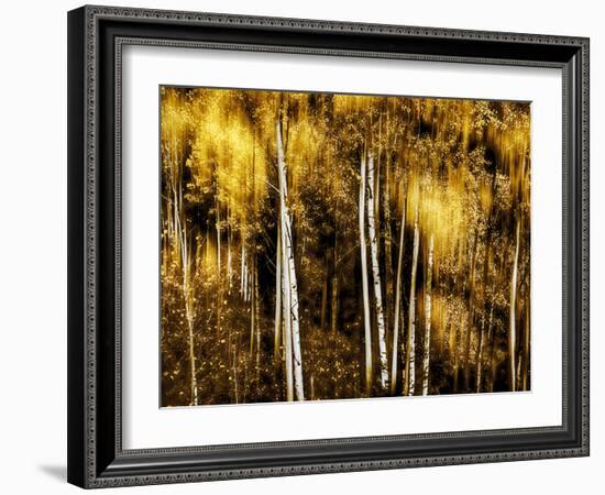 Golden-Ursula Abresch-Framed Photographic Print