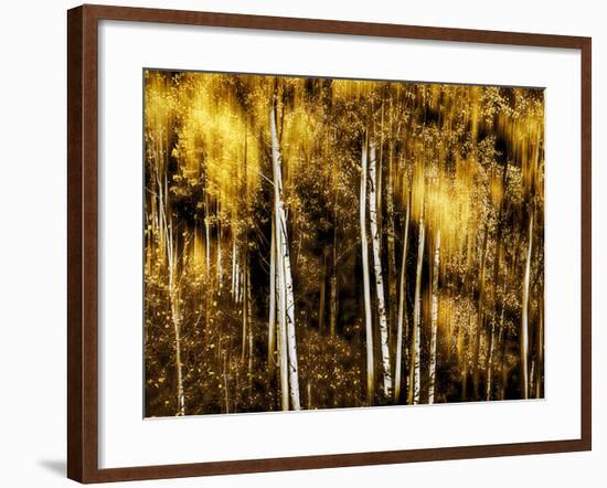 Golden-Ursula Abresch-Framed Photographic Print