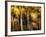 Golden-Ursula Abresch-Framed Photographic Print