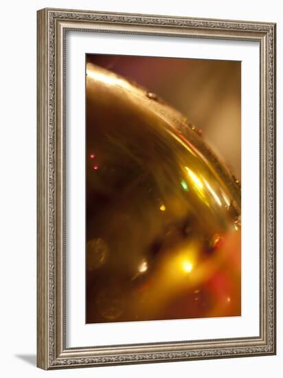 Golden-K.B. White-Framed Photographic Print