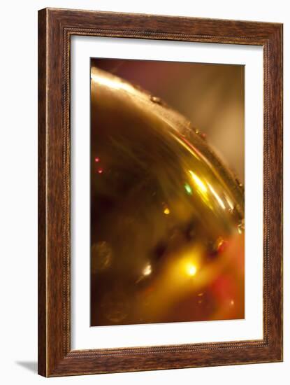 Golden-K.B. White-Framed Photographic Print