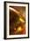 Golden-K.B. White-Framed Photographic Print