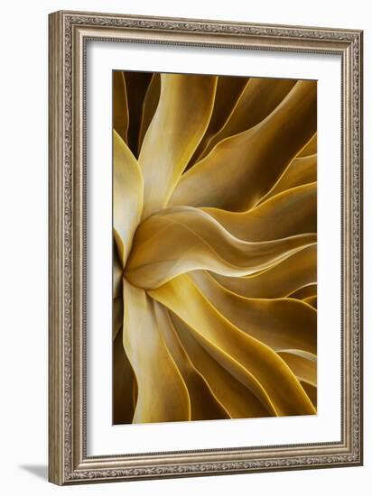 Golden-Robin Wechsler-Framed Giclee Print