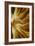 Golden-Robin Wechsler-Framed Giclee Print