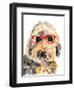Goldendoodle in Glasses-Jenn Seeley-Framed Art Print