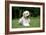 Goldendoodle Laying in Garden-null-Framed Photographic Print