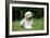 Goldendoodle Laying in Garden-null-Framed Photographic Print