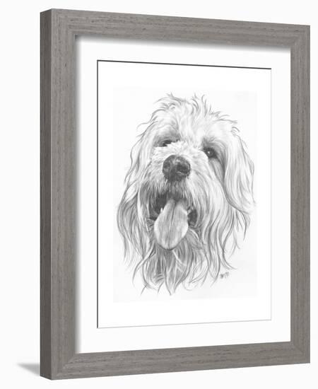 Goldendootle-Barbara Keith-Framed Giclee Print