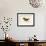 Goldeneye-John James Audubon-Framed Giclee Print displayed on a wall