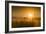 Goldenness-Adrian Campfield-Framed Photographic Print