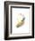 Goldenrod-Jaime Derringer-Framed Giclee Print