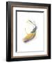 Goldenrod-Jaime Derringer-Framed Giclee Print