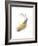 Goldenrod-Jaime Derringer-Framed Giclee Print