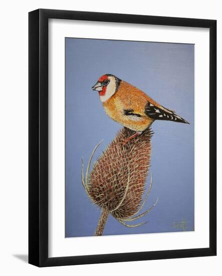 Goldfinch, 2016-Pat Scott-Framed Giclee Print