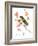 Goldfinch 3-Suren Nersisyan-Framed Art Print