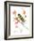 Goldfinch 3-Suren Nersisyan-Framed Art Print