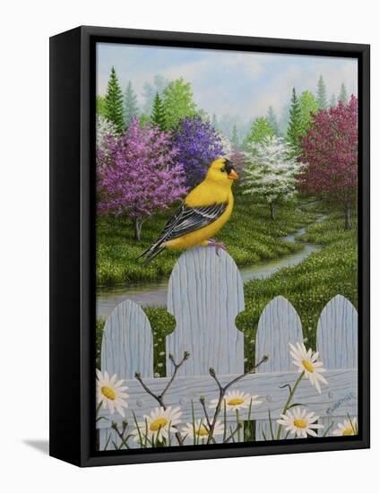 Goldfinch and Daisies-Robert Wavra-Framed Premier Image Canvas