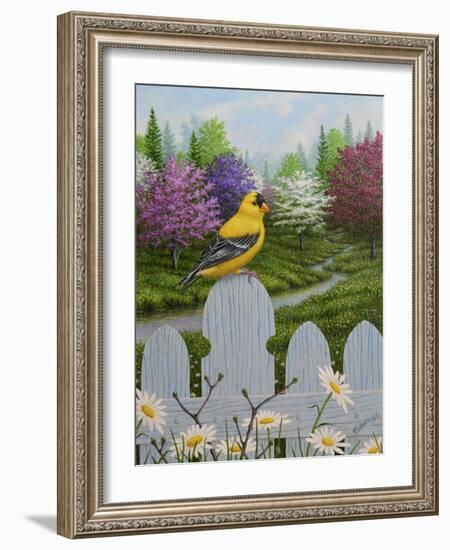 Goldfinch and Daisies-Robert Wavra-Framed Giclee Print