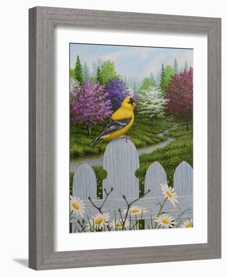 Goldfinch and Daisies-Robert Wavra-Framed Giclee Print